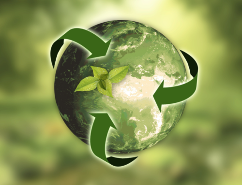 12 propósitos sostenibles para el 2022
