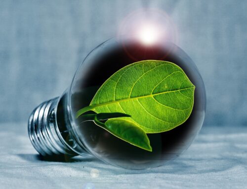 ¿Tu empresa necesita una consultoría energética?
